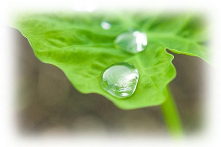 峯電サービスの格安エアコンクリーニング